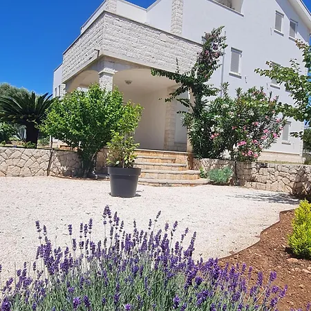 Appartement Mali San *